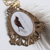 Bird of a Feather