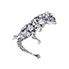the lizard