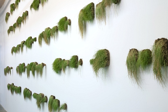 GMO, Jeff Schmuki, Monsanto Jeff Schmuki, Code Genetic GM Plants Art