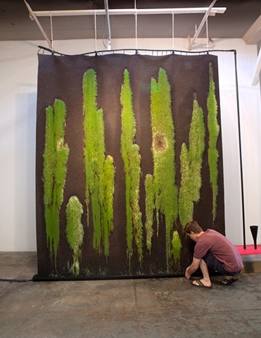 Chia Curtain