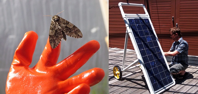 Sustainable off grid public art project, Moth Project, Jeff Schmuki,  Research  in Art Science in Art, , Bee Decline Art