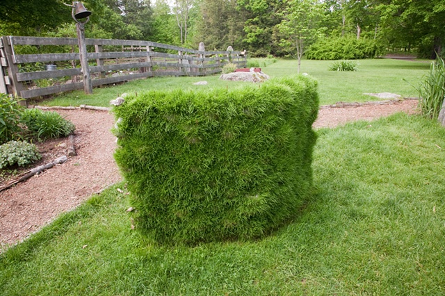 Grass Wall