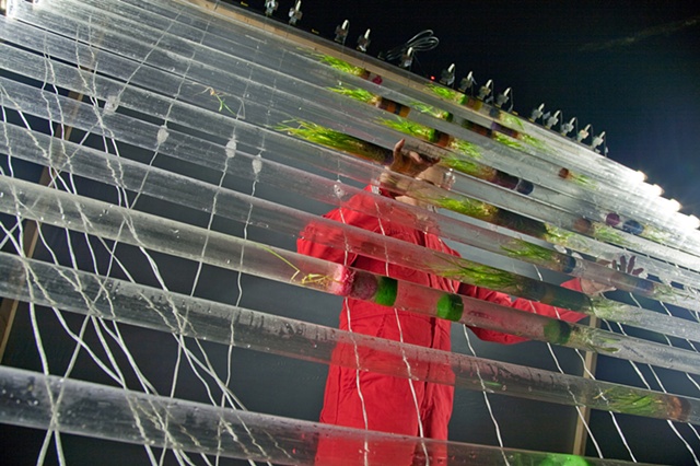 Jeff Schmuki, Research in Art, Off Grid Art, Performance Plants, GMO 