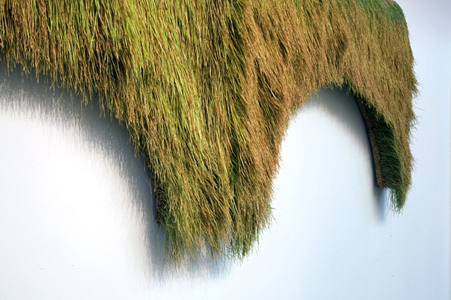 Aqueduct detail (decline)