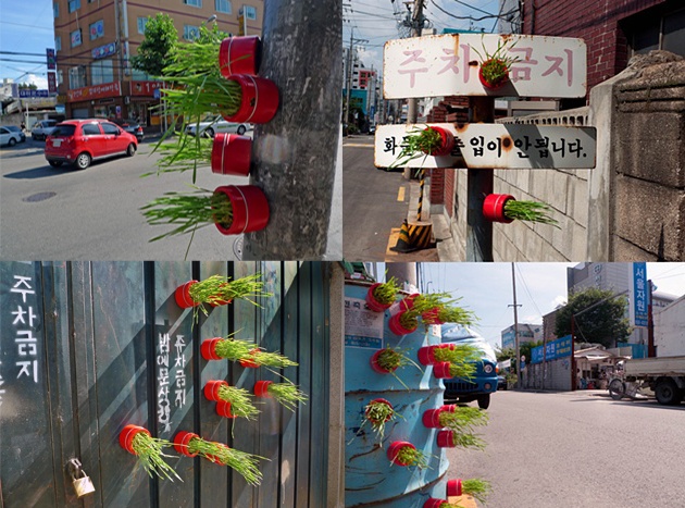 Green Spaces, Sustainablility, Eco Art, Jeff Schmuki, Seoul Korea Artist