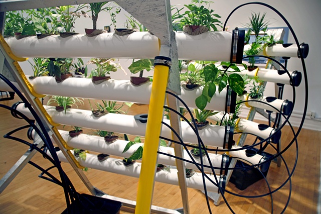 Jeff Schmuki, Rutgers University, hydroponics, NASA, Research in Art.