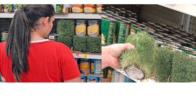 Shop and drop, Jeff Schmuki, chia, Walmart Art. Art in Walmart