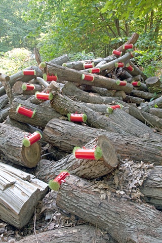 Woodland Correction, Jeff Schmuki, Bioremediation Art