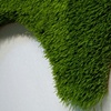 Aqueduct detail (mature)