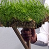 Portable Landscape