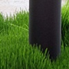 Portable Wheat Field