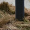 Portable Wheat Field (decline)