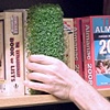 Barnes&Noble ChiaBook