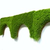 Aqueduct (mature)
