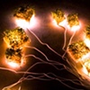 Synapse