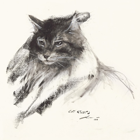 Cat Drawing