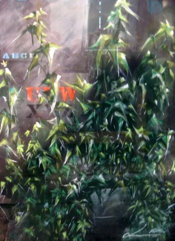 Plant #4