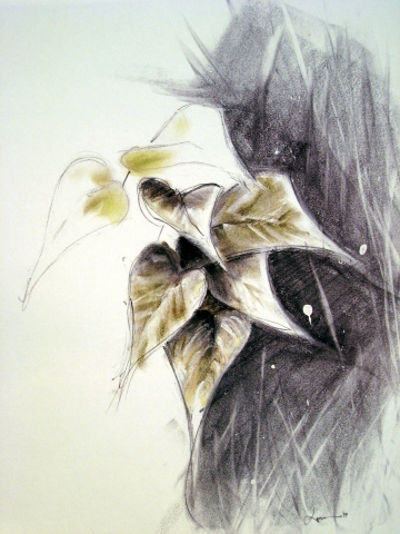 Leaf Study #1