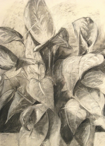 Plant #2
