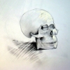 Skull #2