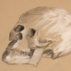 Skull #1