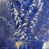 Blue Eucalyptus