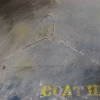 Coat Hanger