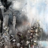 Plants and Landscapes