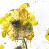 Accident #2 - Detail