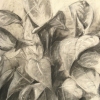 Plant #2