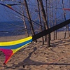Flying Colors By Lake Michigan