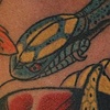 Hebi close up