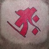 Bonji done by "tebori", Japanese hand poke