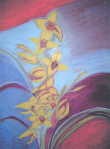 Yellow Orchid