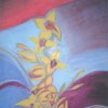 Yellow Orchid