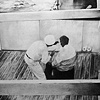 Untitled (Trotsky)