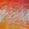 Orange Blossom