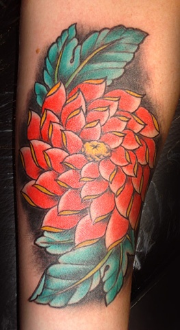 crysanthemum