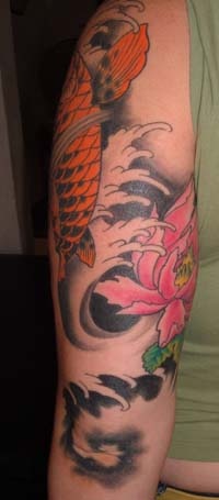 cara koi back