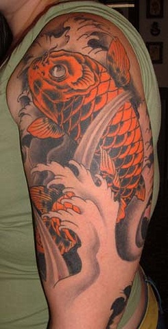cara koi 1