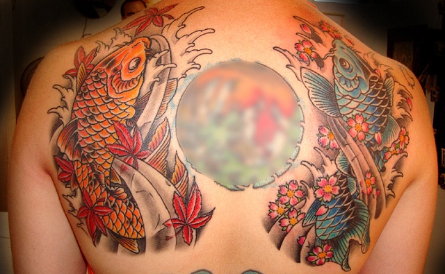Koi back