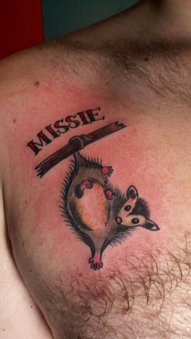 Missie's possum