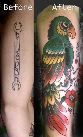 Parrot
