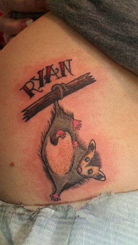 Ryan's possum