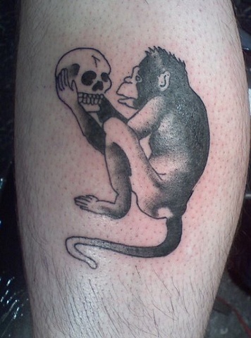 darwin monkey