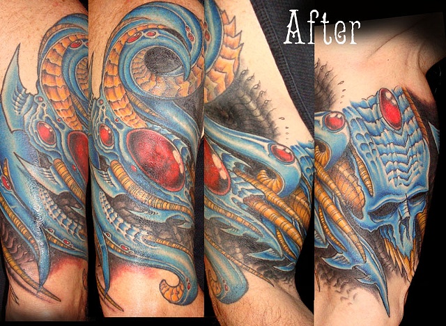 Biomech sleeve after