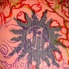Jims Arm BEFORE!