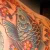 Koi back