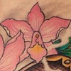 Orchid flintlock