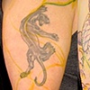 Before coverup and with marker stencil